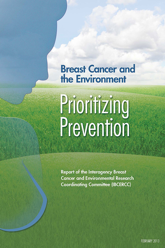 Breast Cancer and the Environment flyer