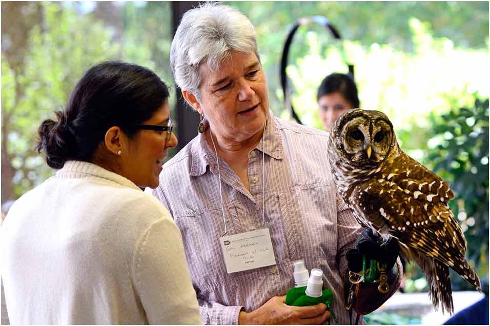 Vanessa Flores admiring an owl 