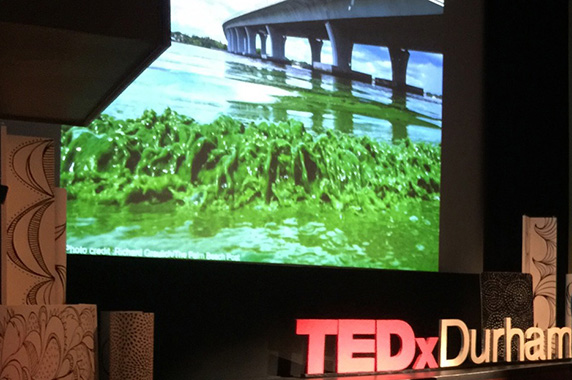 TedXDurham picture of algae