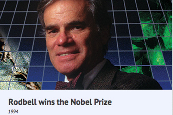 Rodbell wins the Nobel Prize