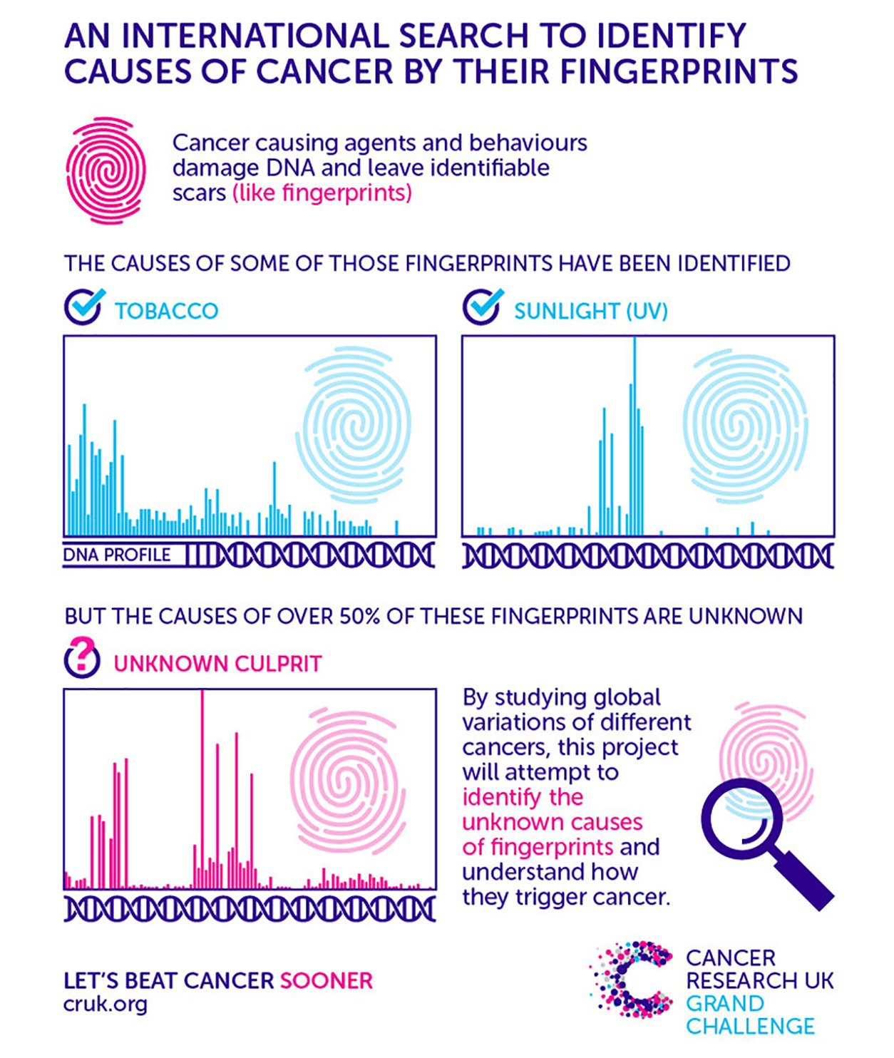 CRUK Infographic