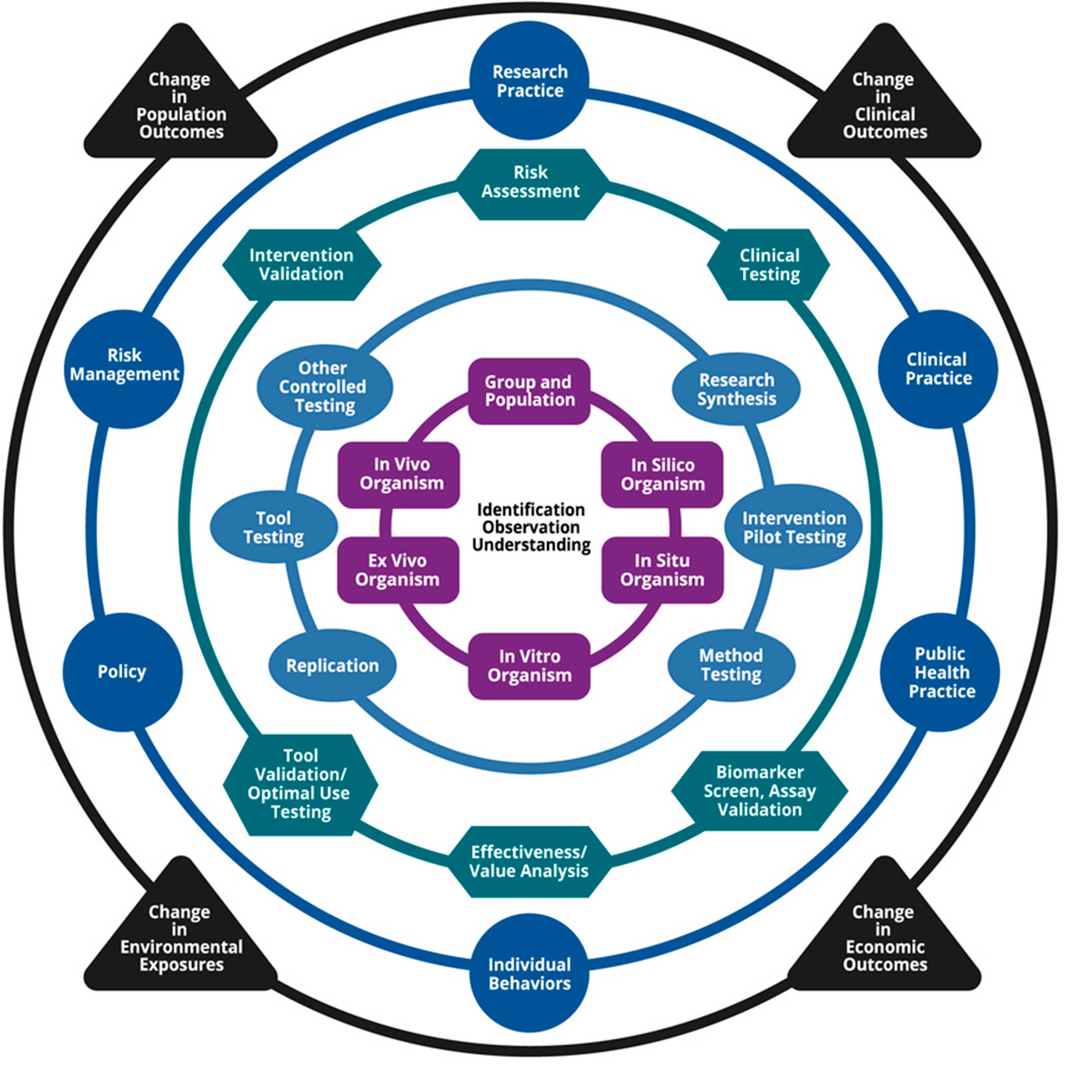The Full Translational Research Framework represents five categories of translational research in concentric rings: fundamental questions (rectangles), application and synthesis (oval), implementation and adjustment (hexagons), practice (circle) and public health impacts (triangles). Within each ring, nodes describe the types of activities that might occur. In this diagram we combine all five rings and their respective nodes or activities, as described above, into one model of the full framework. The model is shown as a series of concentric rings. The inner ring is Fundamental Questions, the next ring is Application and Synthesis, followed by Implementation and Adjustment. The fourth ring represents the Practice category of translational research. The outside ring represents the Impacts category.