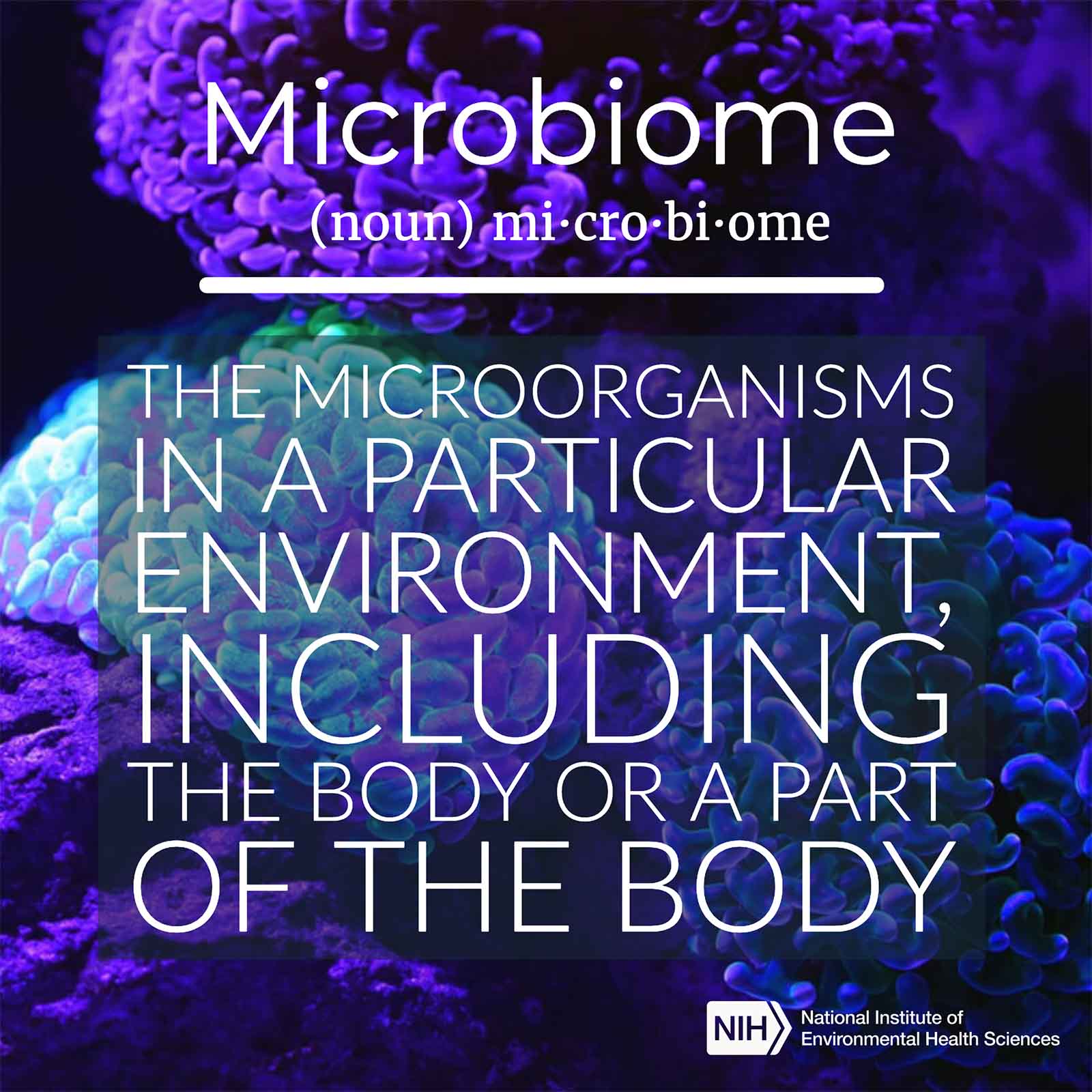 Microbiome definition The microorganisms in a particular environment, including the body or a part of the body