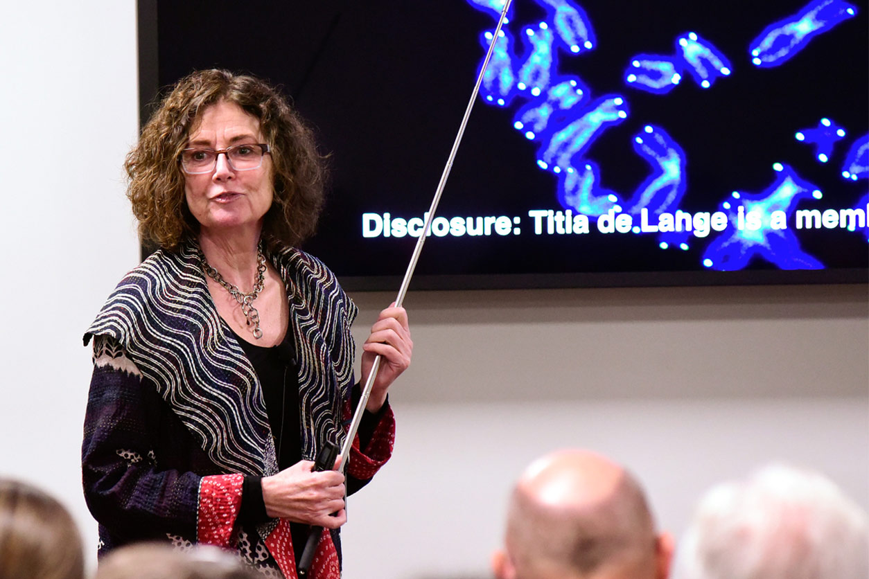 Titia de Lange, Ph.D. presenting at NIEHS Distinguished Lecture Series