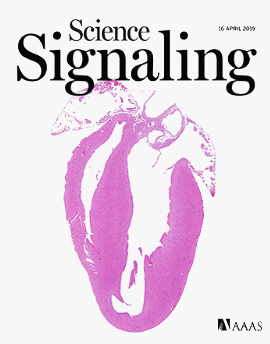 Science Signaling April 2019 cover