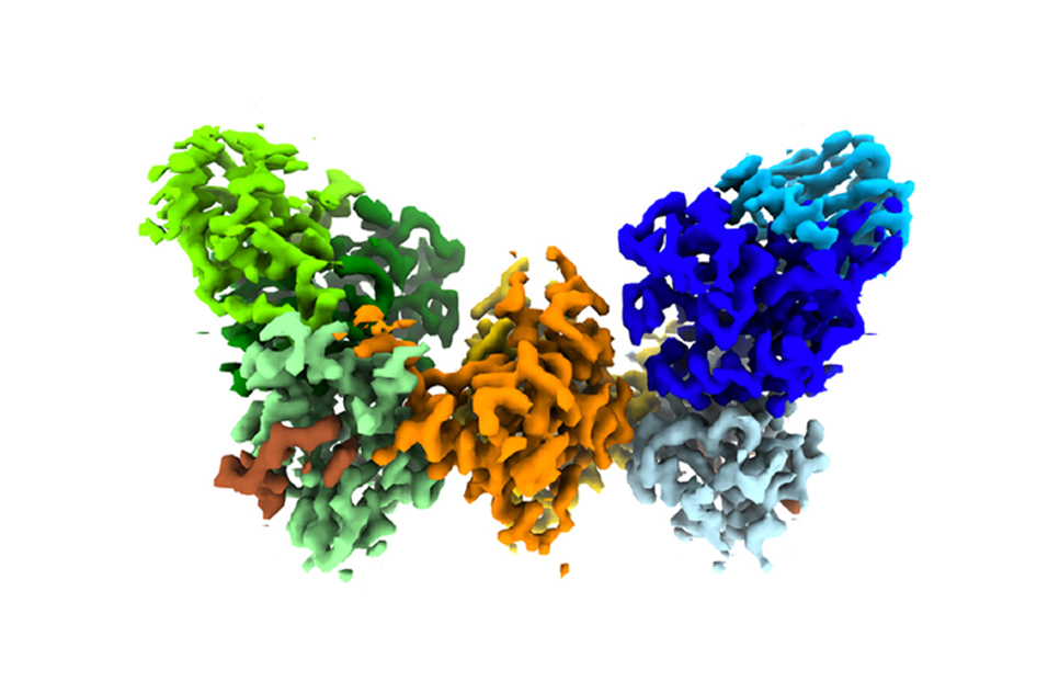 butterfly-shaped image that represents a typical structure solved through cryo-EM