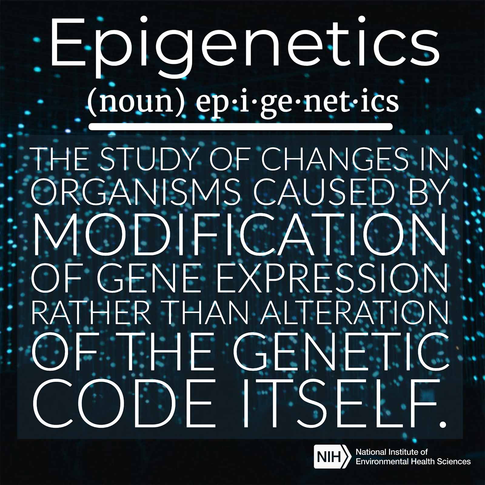Epigenetics (noun) defined as 'The study of changes in organisms caused by modification of gene expression rather than alteration of the genetic code itself.'