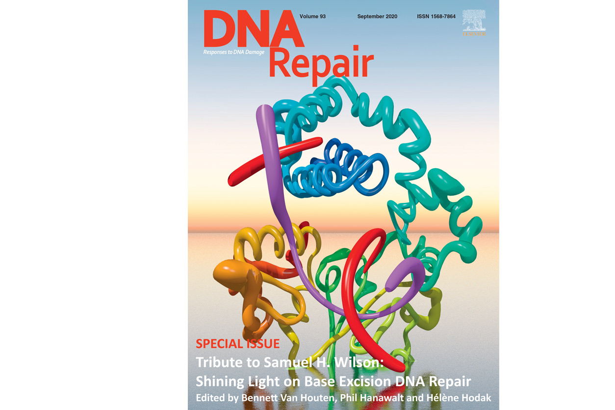 DNA Repair September 2020 cover