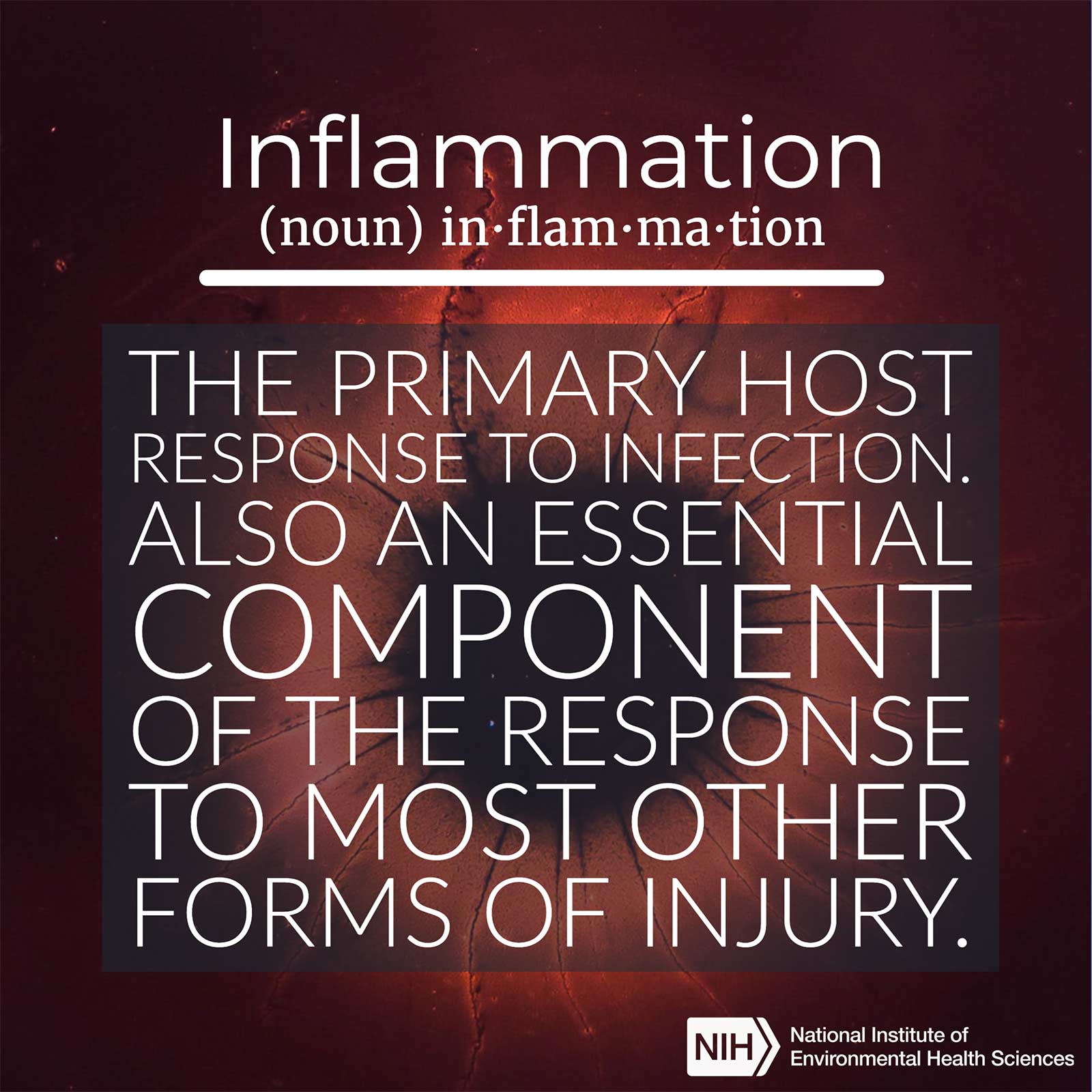 Inflammation (noun) defined as 'the primary host repsonse to infection. Also an essential component of the response to most other forms of injury.'