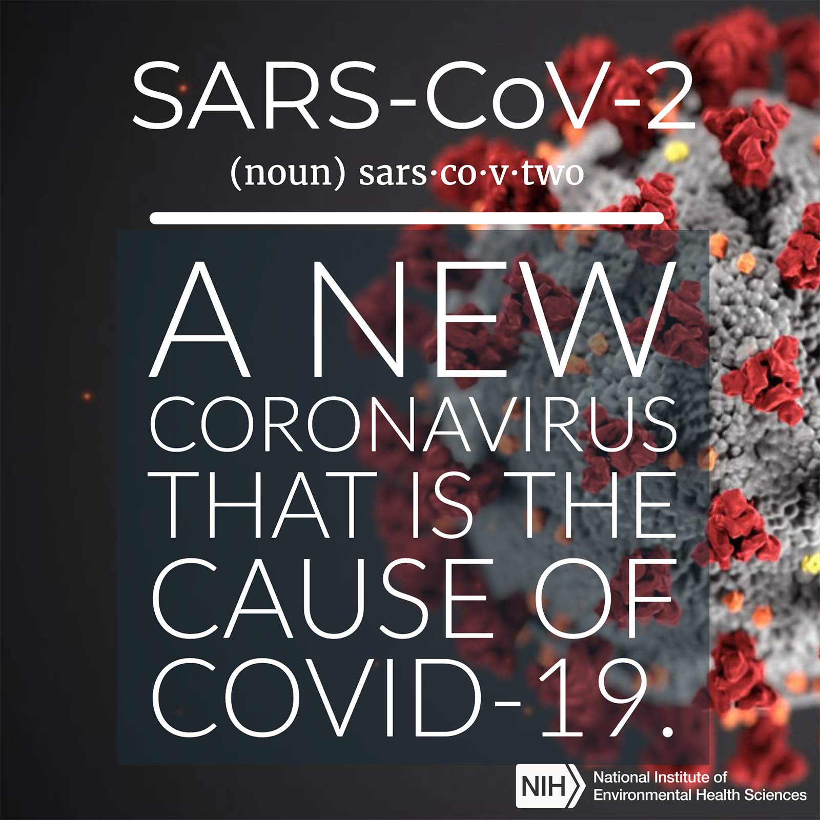 SARS-CoV-2 (noun) defined as 'a new coronavirus that is the cause of COVID-19.'
