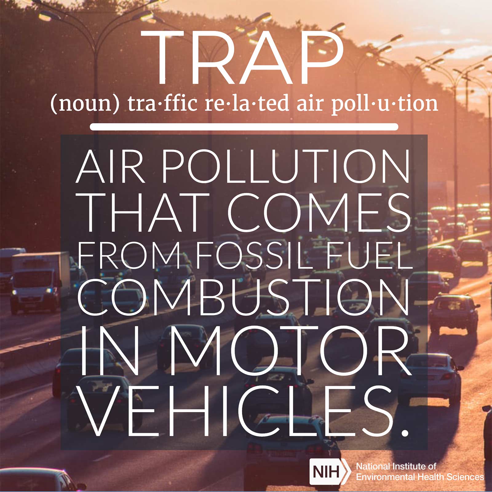 TRAP (noun) traffic related air pollution defined as 'Air pollution that comes from fossil fuel combustion in motor vehicles.'