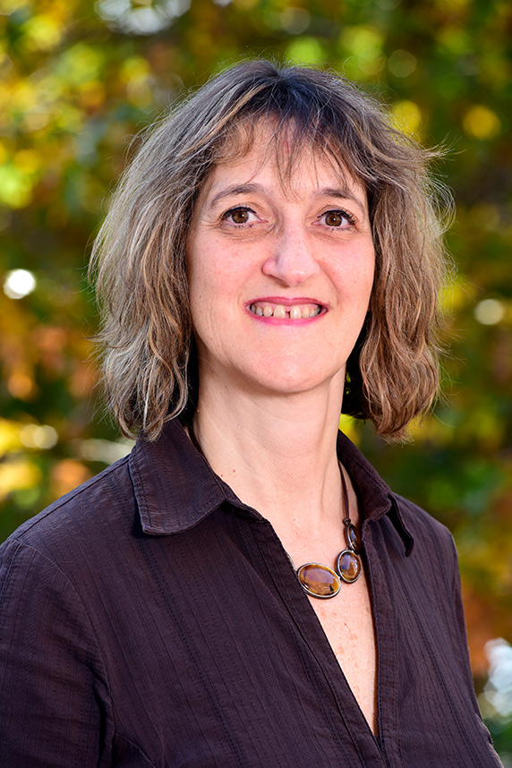 Paula Stein, Ph.D.