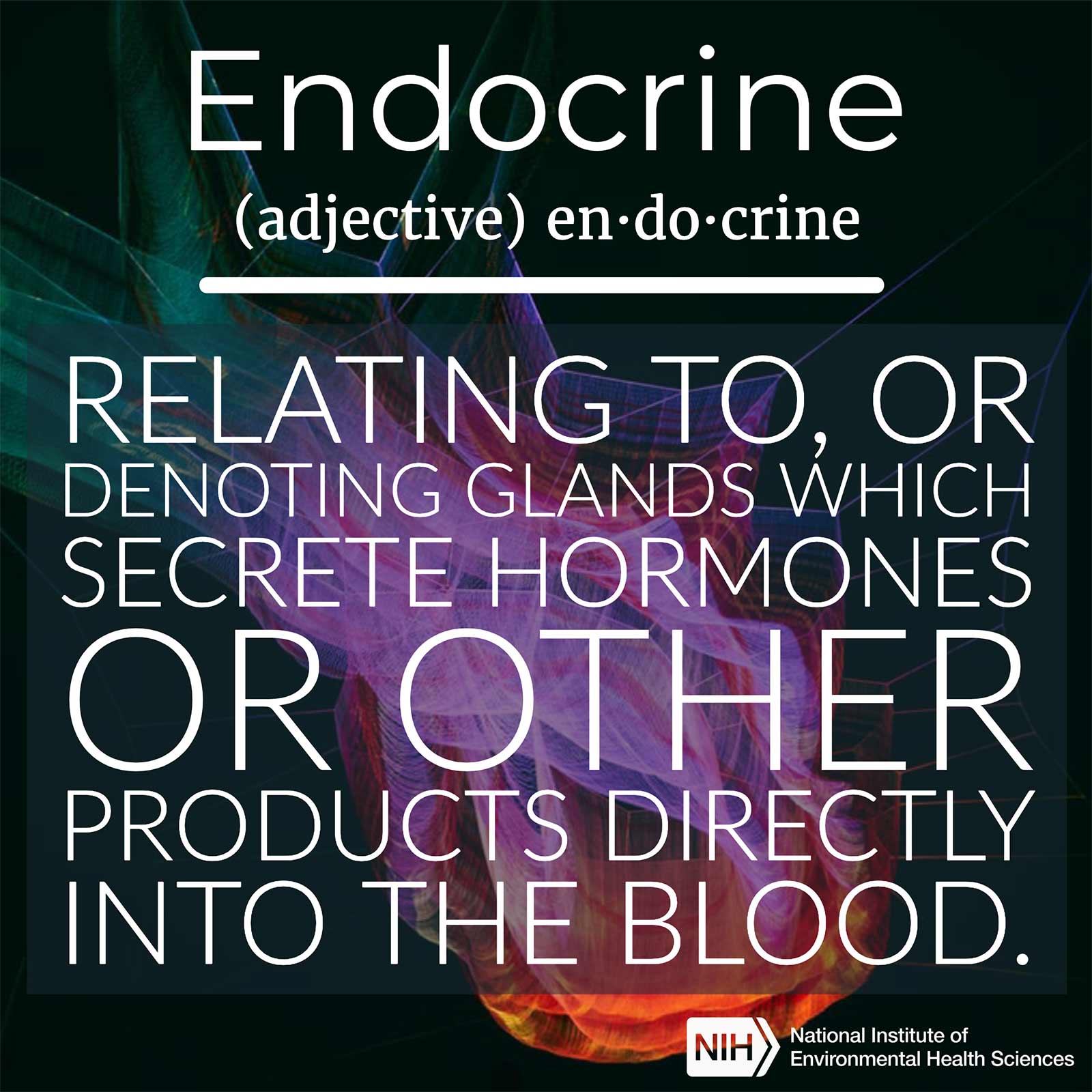 Endocrine (adjective) defined as 'Relating to, or denoting glands which secrete hormones or other products directly into the blood'