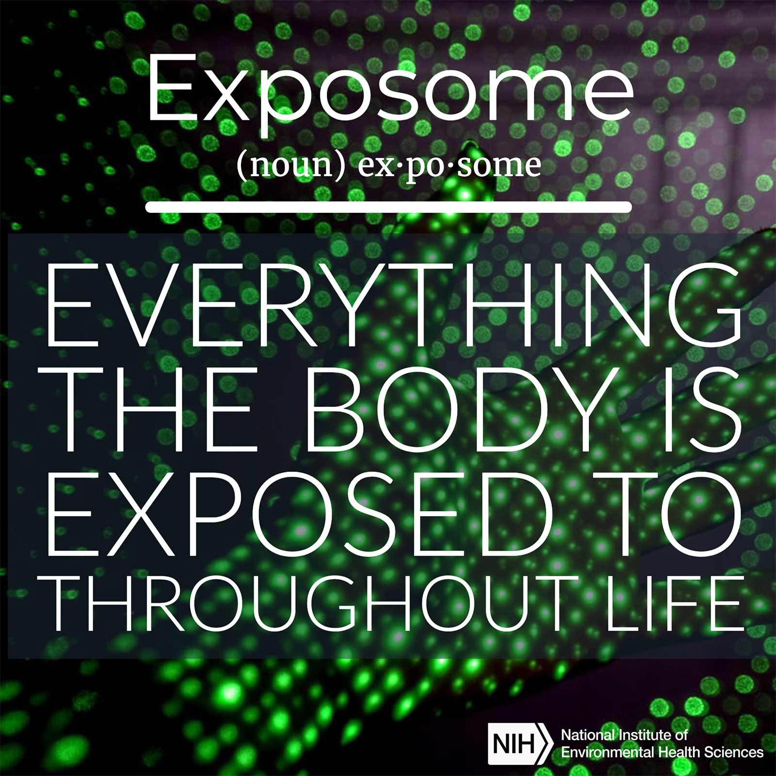 Exposome (noun) defined as 'everything the body is exposed to throughout life.'