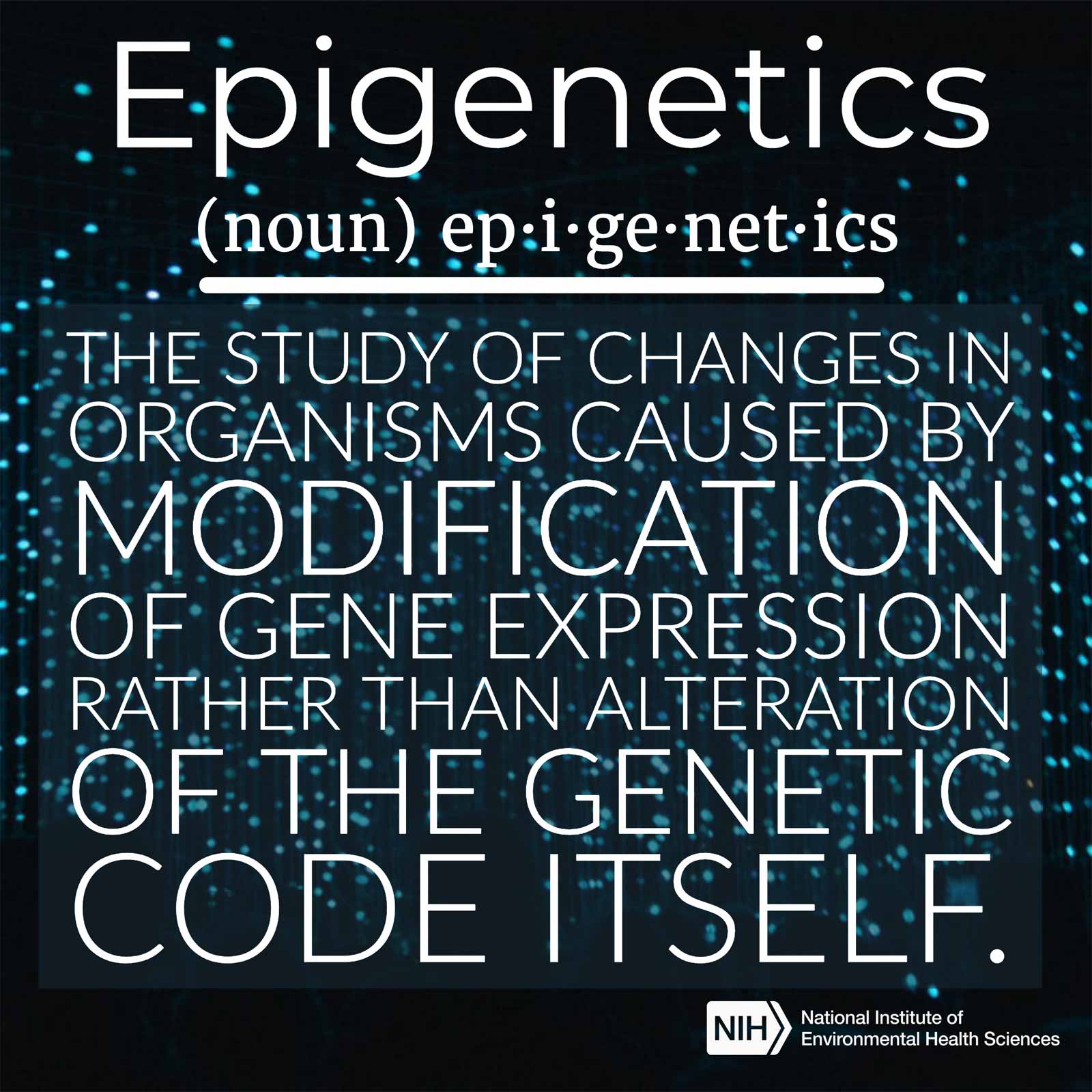 Epigenetics (noun) defined as 'the study of changes in organisms caused by modification of gene expression rather than the alteration of the genetic code itself.'