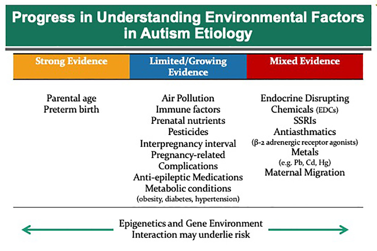 progress in understanding environmental factors in autism etiology chart