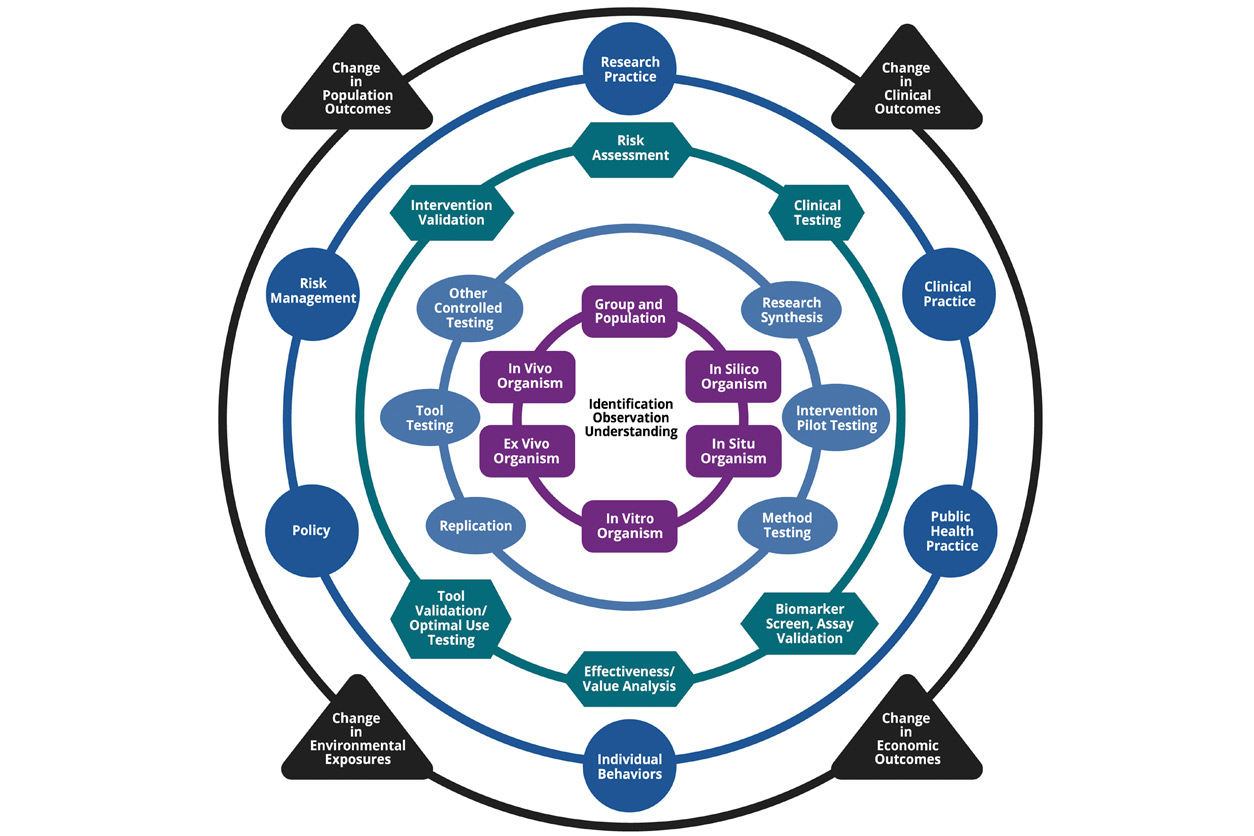 diagram of basic to applied research bridging to practices and policies that change the health of people