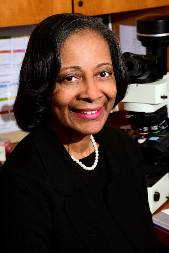 Darlene Dixon, D.V.M., Ph.D.