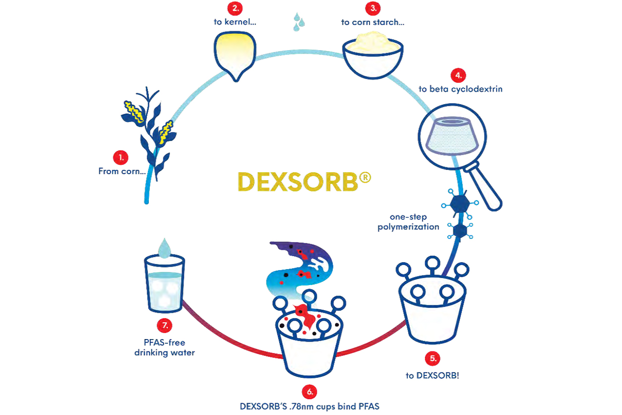 Illustration of how DEXSORB+ binds and removes all 40 PFAS targeted by the U.S. Environmental Protection Agency (EPA) using renewable cup-shaped cyclodextrins derived from cornstarch