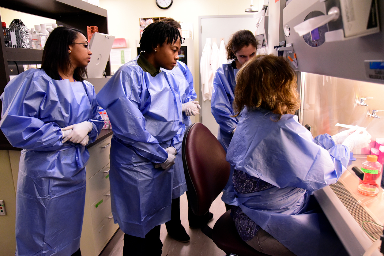 NCSP students learn lab procedures during a research bootcamp at NIEHS in June 2018