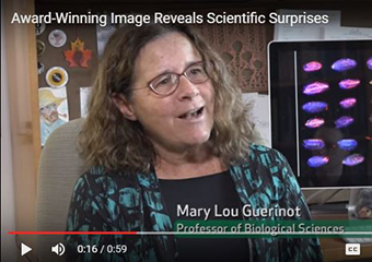 Mary Lou Guerinot, Ph.D.