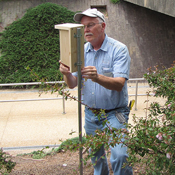 Bill Willis cleaning the bee box