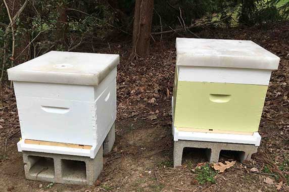 beehive containers