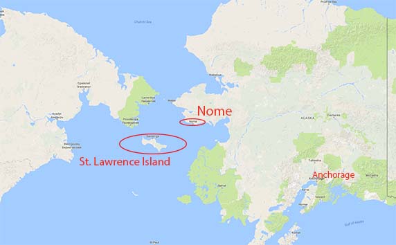 Остров святого лаврентия северная америка. Остров Святого Лаврентия на карте. Остров св Лаврентия на карте.
