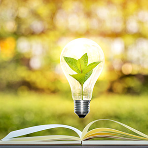 illustration of book with lightbulb hovering above containing a leaf