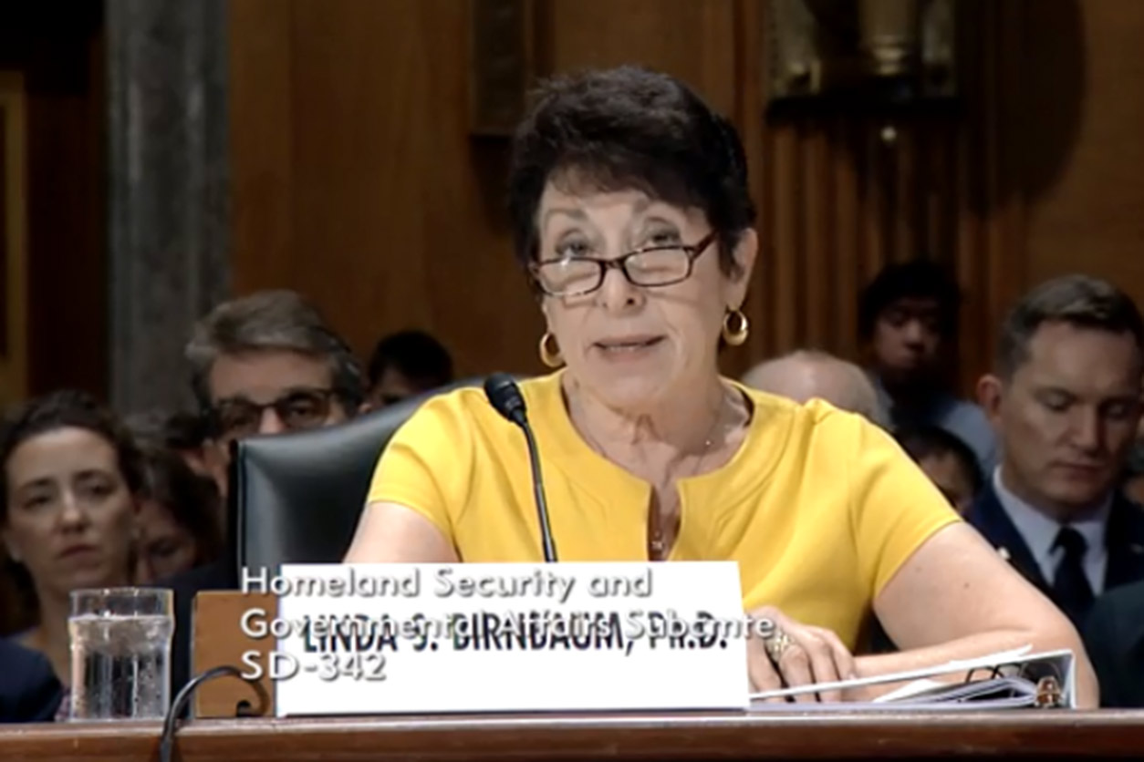 Linda Birnbaum speaks at a congressional hearing