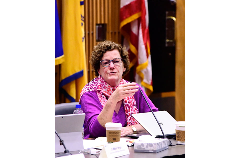 Winn speaks during the meeting