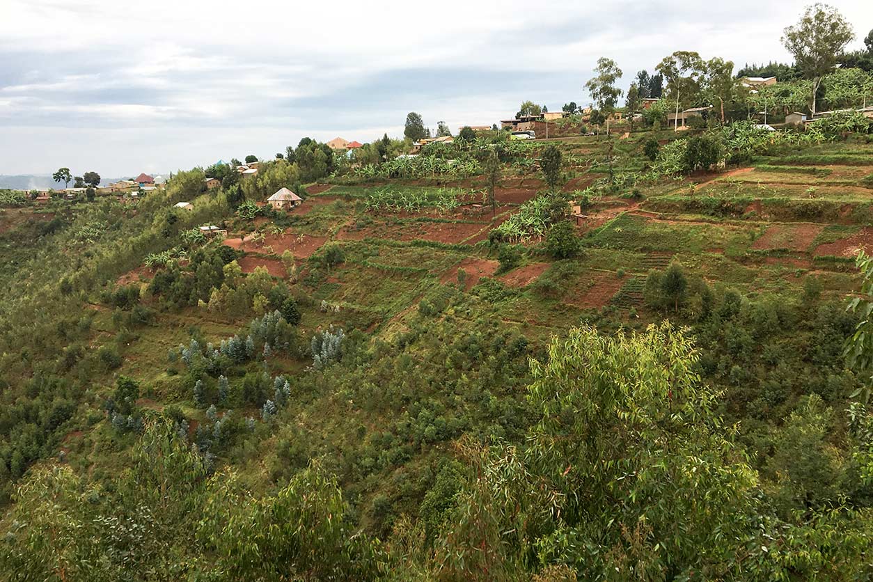 green hillside near Kigali