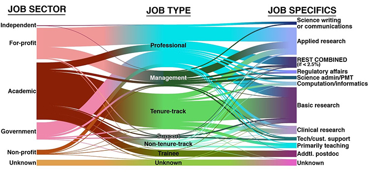Job Sector, Type, and Specifics
