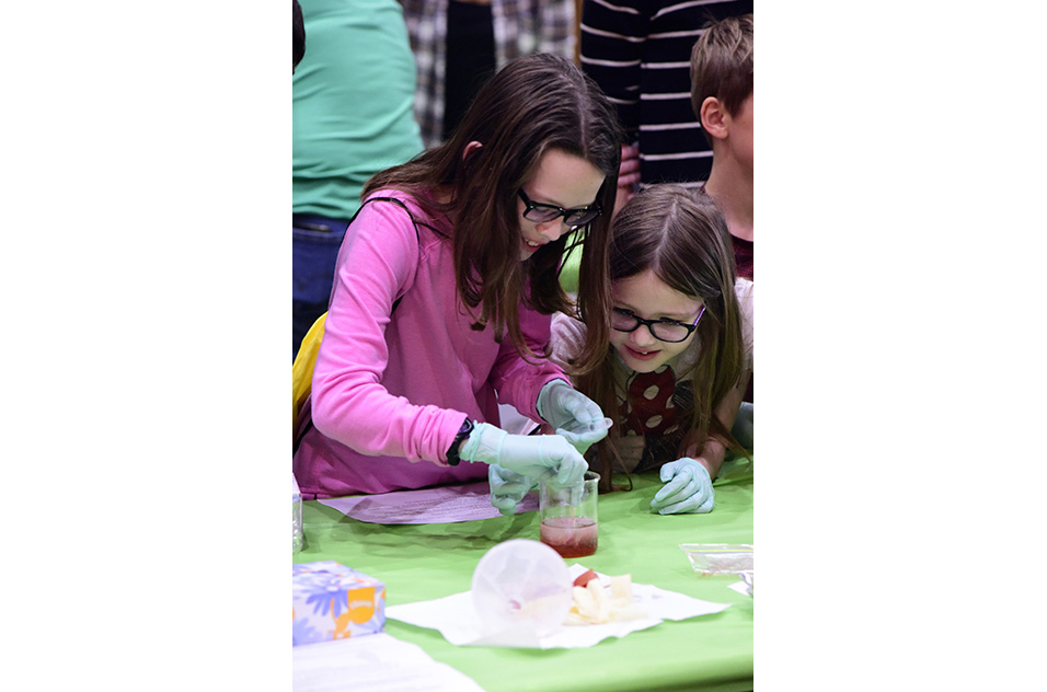 children performing DNA extraction