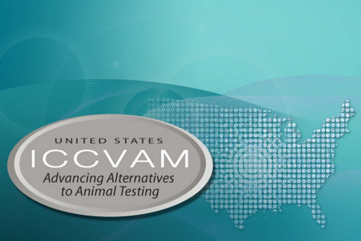 logo of ICCVAM