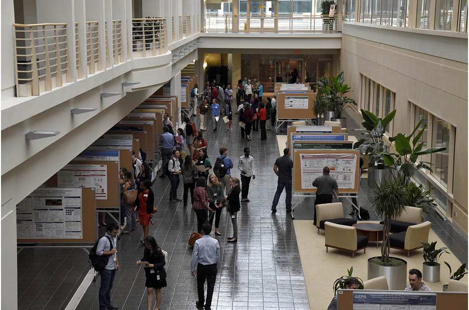 Participants viewing the posters