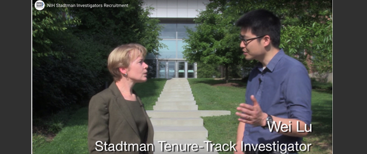 Stadtman Tenure-Track Investigators, meet some inaugural Stadtman recruits