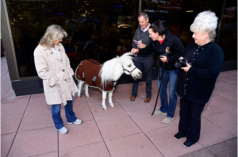 Lola, a horse, and a crowd at the NIEHS Veterans Day Celebration