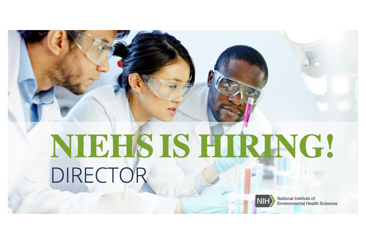 A flyer with Scientists looking at test tubes and words overlaying the image, "NIEHS IS HIRING DIRECTOR"
