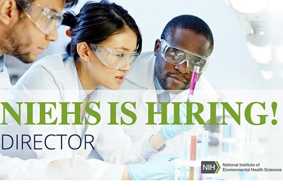 A flyer with Scientists looking at test tubes and words overlaying the image, 'NIEHS IS HIRING DIRECTOR'