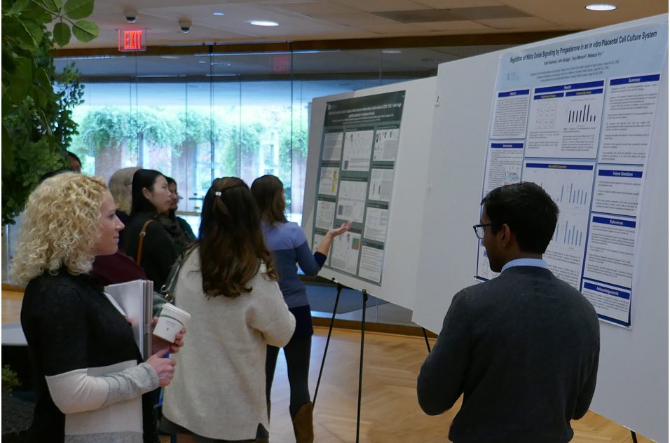 poster presentations at Genetics and Environmental Mutagenesis Society (GEMS), October 2019 meeting