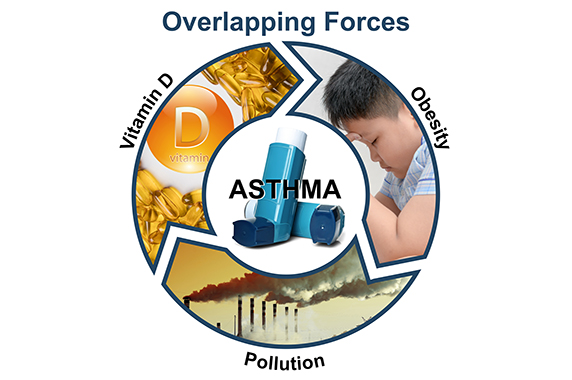 asthma 'overlapping forces' graphic