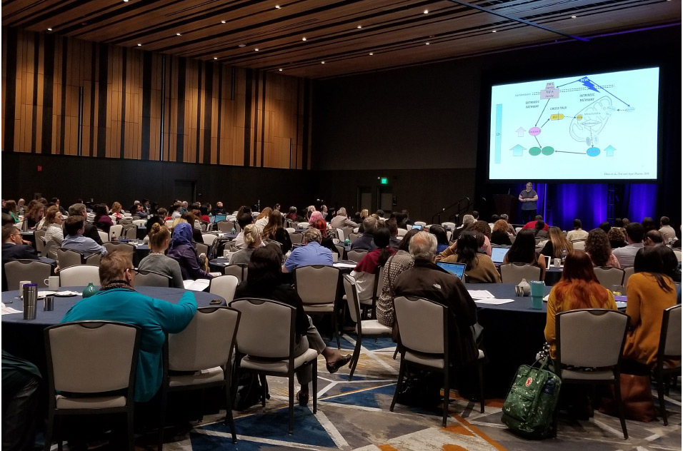 room full of SRP annual meeting attendees