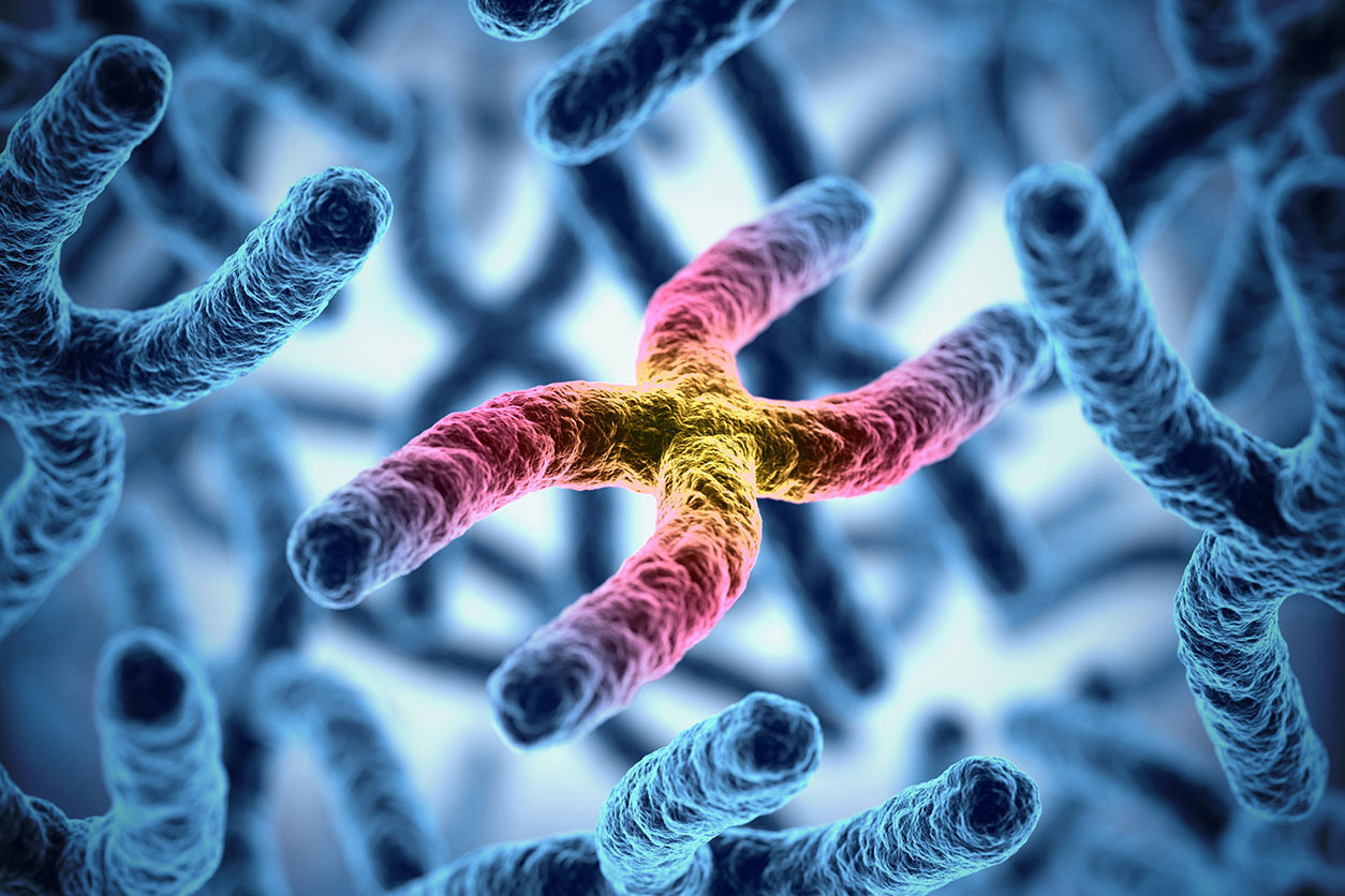 3d illustration of chromosomes