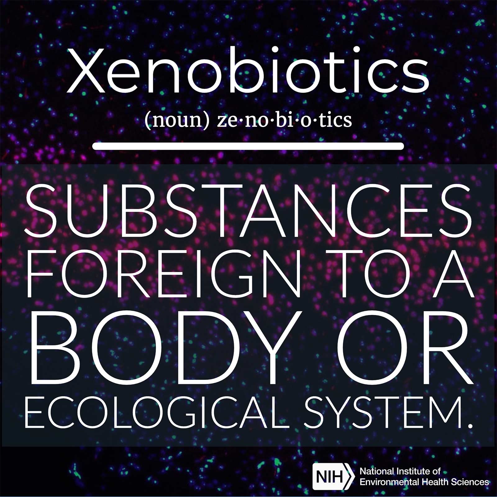 xenobiotics (noun) defined as &#39;substances foreign to a body or ecological system.&#39;