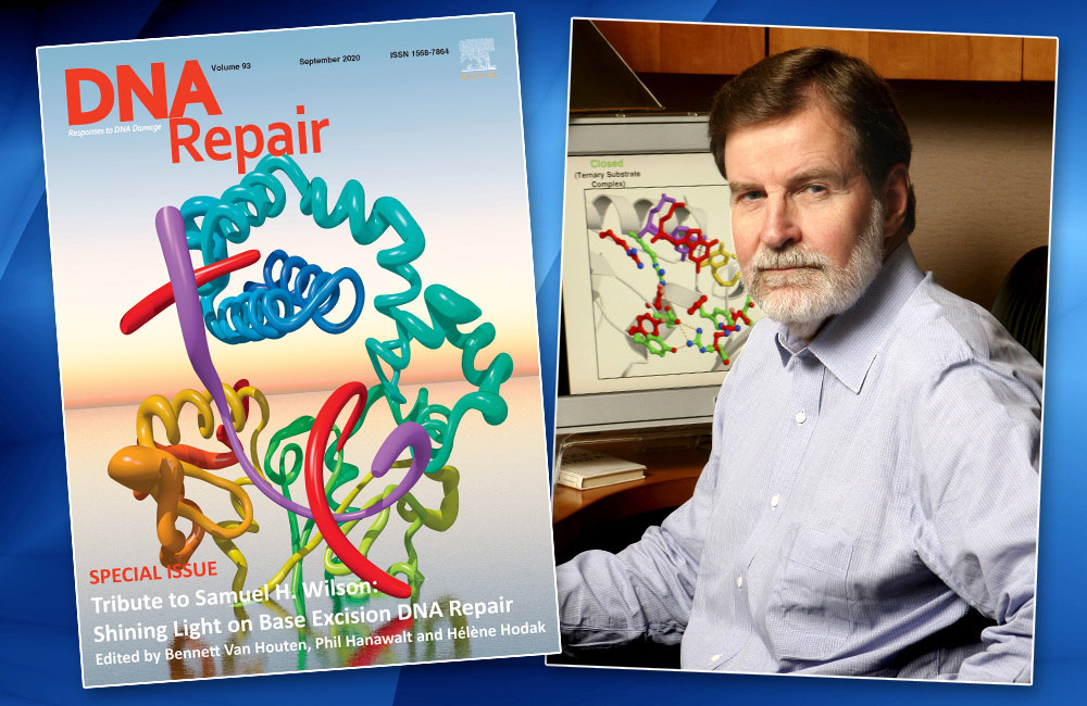 DNA Repair September 2020 cover and Sam Wilson