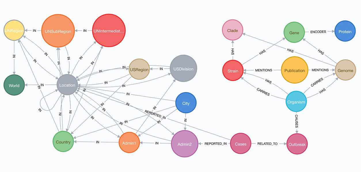 preliminary knowledge graph model showing the COVID-19 location hierarchy from world to city level