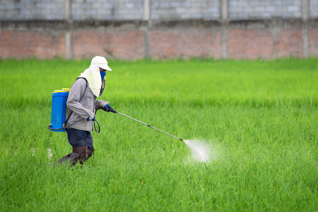 person spraying pesticide with insecticide sprayer wearing protection equipment