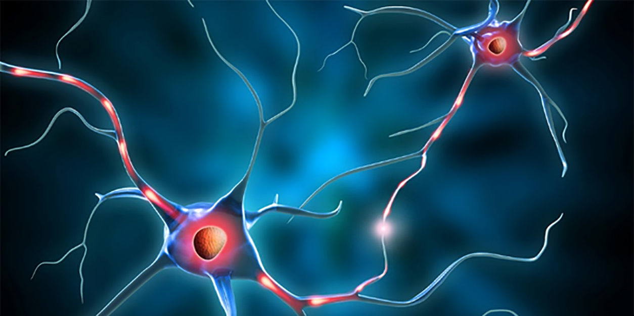 stylized illustration of an ALS neuron