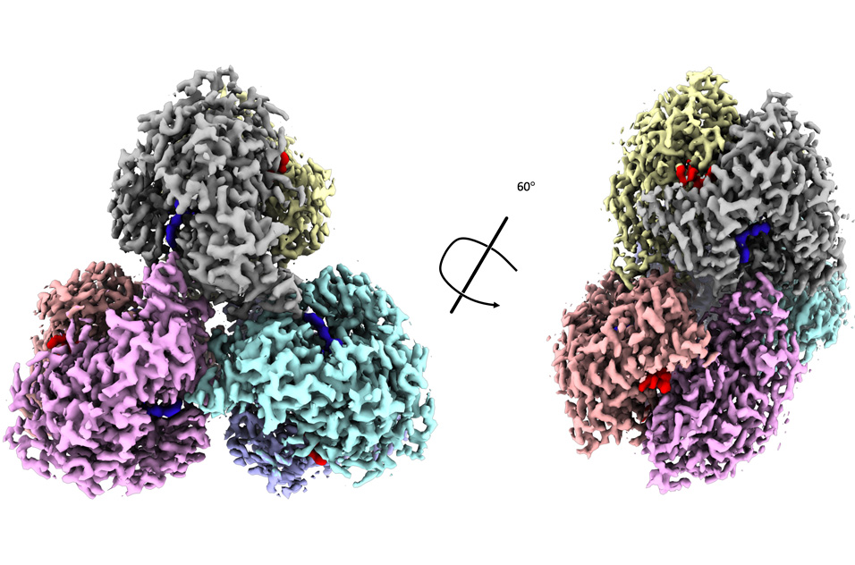 cryo-electron microscopy image of monomers